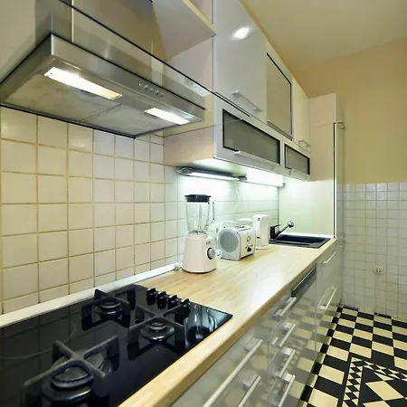 Luxury Center Apartment